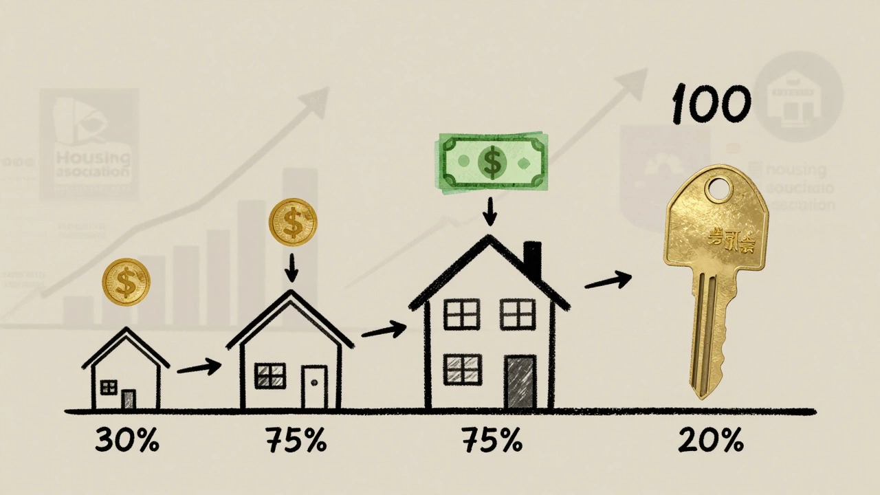 Hand-drawn timeline showing equity growth from 30% to 100% ownership in a shared home.